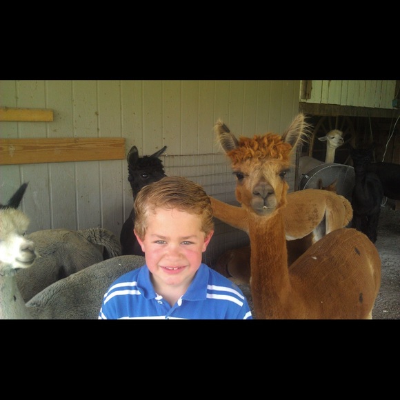 Meet your Posher, Kelley - Picture 1 of 2